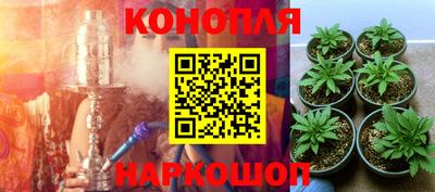 спиды Аргун