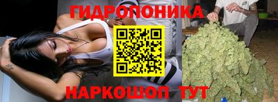 спиды Аргун