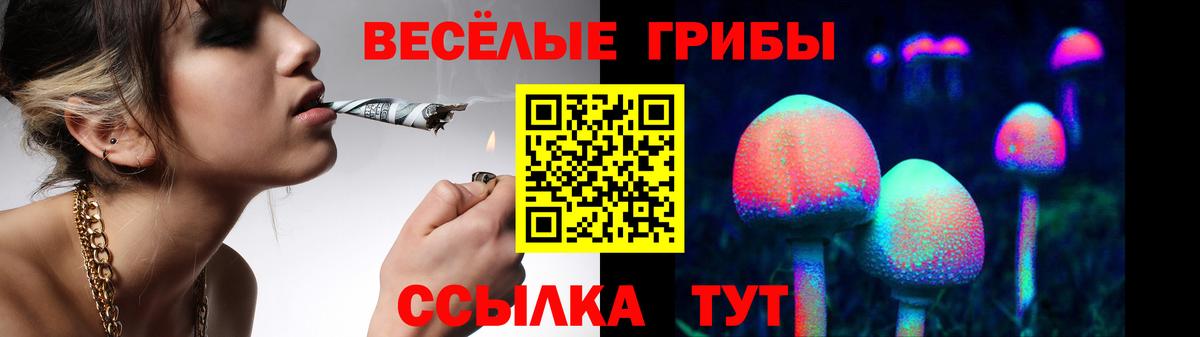 Псилоцибиновые грибы GOLDEN TEACHER Благодарный