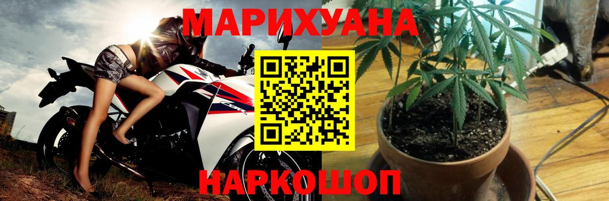 Канабис семена  Вход с VPN  Шишки марихуана Bruce Banner  Марихуана конопля  Благодарный 